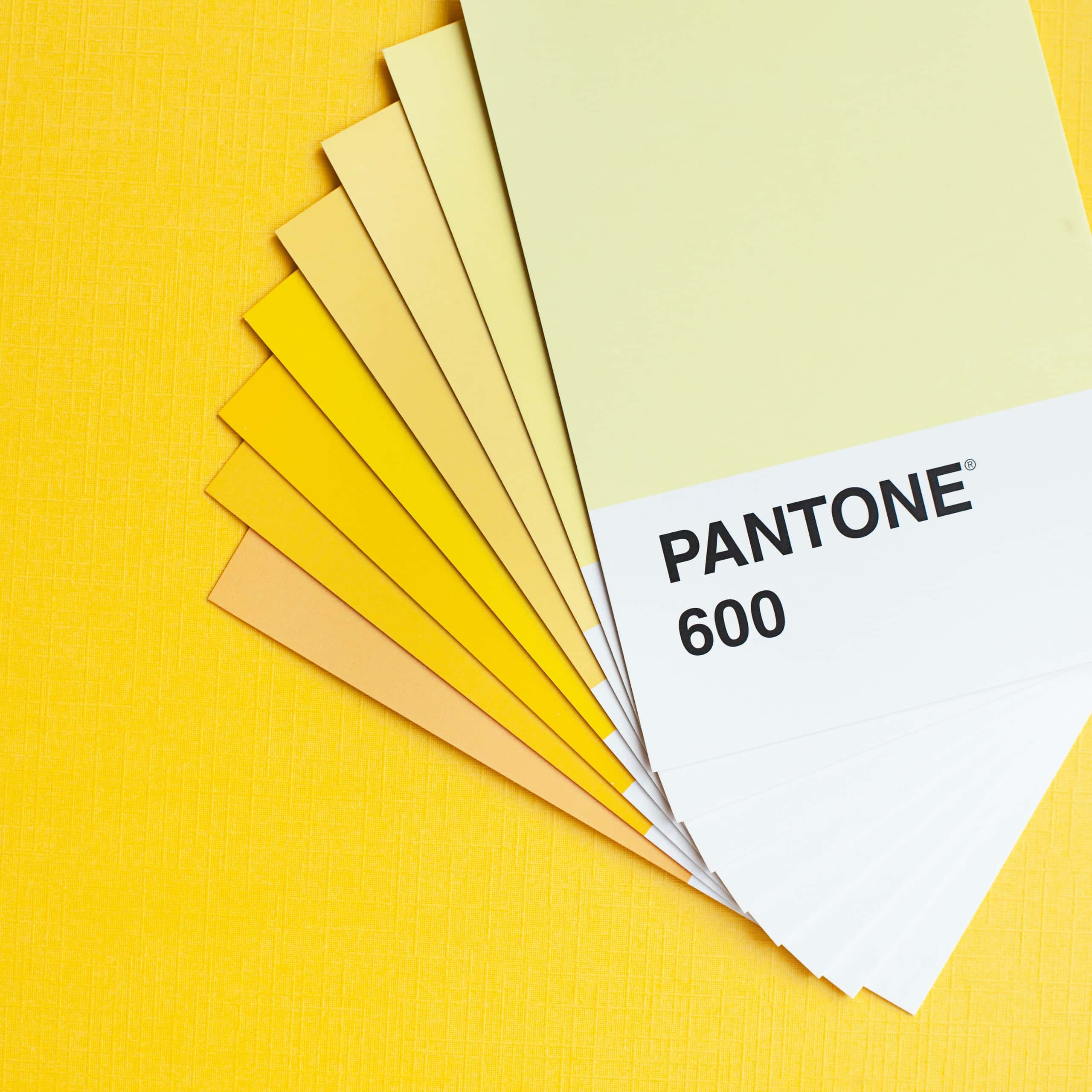 Pantone 600